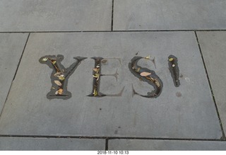 Princeton Alumni Day