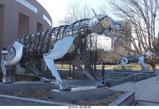 Princeton University - new stadium