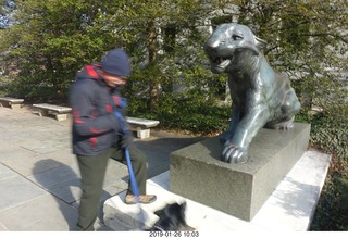 Princeton University - tiger
