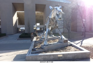 Princeton University - new skeleton tiger