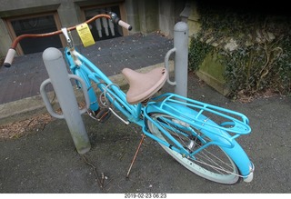 Princeton University - Sandy Student, dog, and tiger