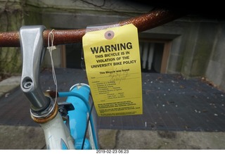 Princeton University - Sandy Student, dog, and tiger