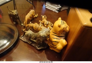 Princeton Alumni Day