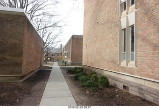 Princeton Alumni Day - McCosh 10 window