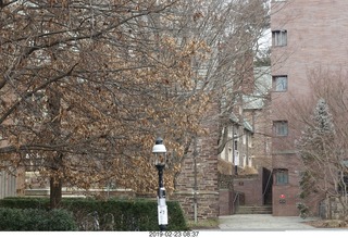 Princeton Alumni Day