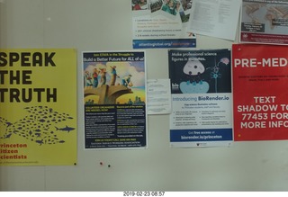 Princeton Alumni Day signs