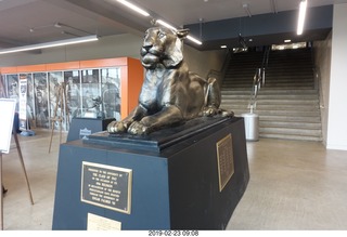 Princeton Alumni Day - softball field