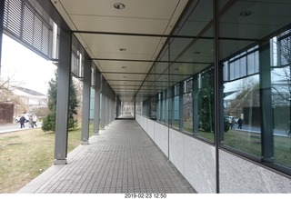 Princeton Alumni Day