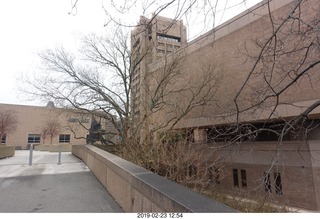 Princeton Alumni Day - Jadwin Gym tiger