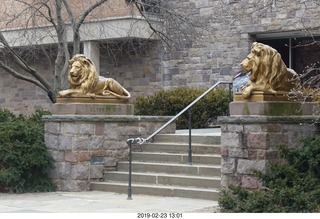 Princeton Alumni Day - food