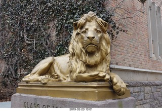 Princeton Alumni Day - lion