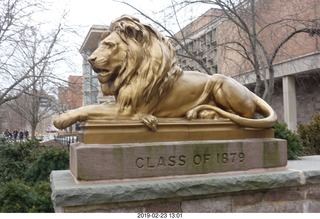 Princeton Alumni Day - lion