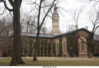 Princeton Alumni Day - lions