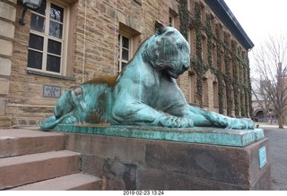 Princeton Alumni Day