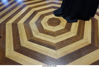 Princeton Alumni Day - tiger