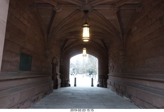 Princeton Alumni Day