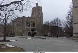 Princeton Alumni Day