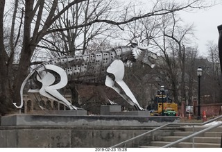Princeton Alumni Day - gluten free food