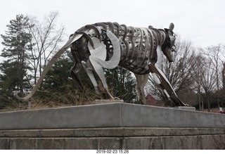 Princeton Alumni Day
