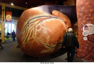 Philadelphia - The Franklin Institute Science Museum - heart
