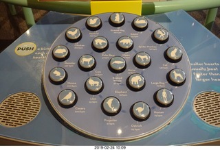 Philadelphia - The Franklin Institute Science Museum - hearts