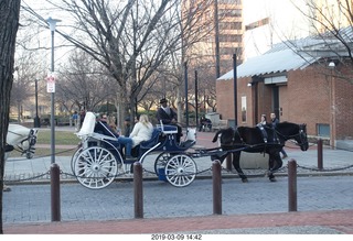 Philadelphia Independence Hall - horse-drawn carriage