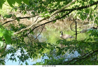 Princeton Alumni Day - program - Old Nassau music