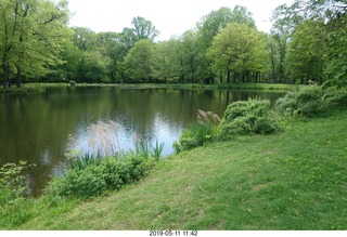 Princeton University - tiger + Brian