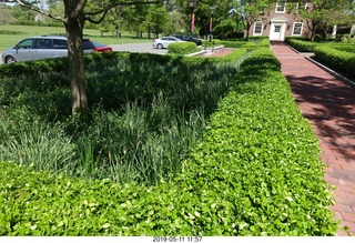 Princeton - Institute for Advanced Study (IAS)