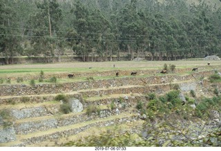 201 a0f. Peru - Vistadome Train to machu picchu