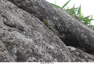 466 a0f. Peru - Machu Picchu