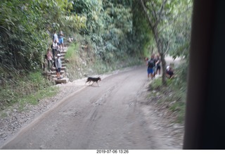 622 a0f. Peru - bus ride down to Aguas Calientes