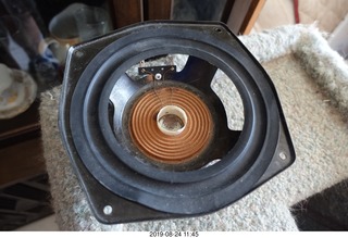 22 a0g. cat-caused woofer-driver damage