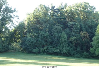 Curtis Arboretum - Cheltenham XC alumni race