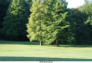 Philadelphia Museum of Art - Monet - The Sheltered Path (Brian's favorite painting)