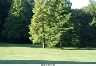 Curtis Arboretum - Cheltenham XC alumni race