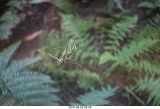 Philadelphia - Barnes Museum