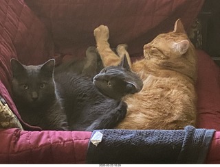 Argentina - San Juan - shopping for chairs