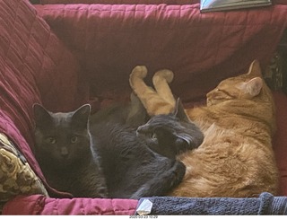 Argentina - San Juan - shopping for chairs