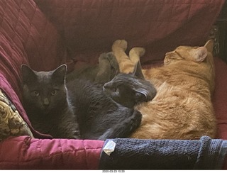 Argentina - San Juan - chairs for the eclipse - Adam