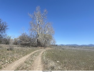 243 a0q. Double Circle airstrip run