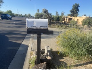 Seligman Roadkill Cafe