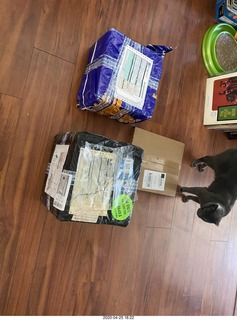 boxes of new tapes and a record and a cat