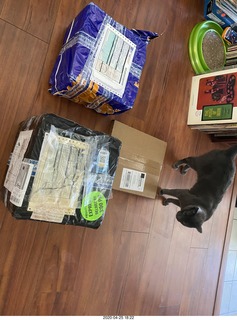 boxes of new tapes and a record and a cat