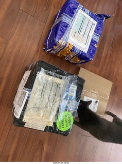 boxes of new tapes and a record and a cat