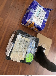 boxes of new tapes and a record and a cat