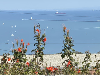 Los Angeles harbor
