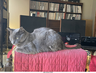 record room on Facebook, check out the top of the back of the Quad ESL