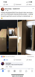 Quad ESL cables from behind - out of phase