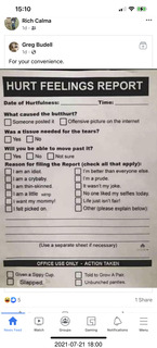 Hurt Feelings Report